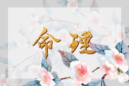 老黄历查询,黄历万年历老黄历,2026年老黄历,中国老黄历吉日查询,老黄历每日宜忌查询